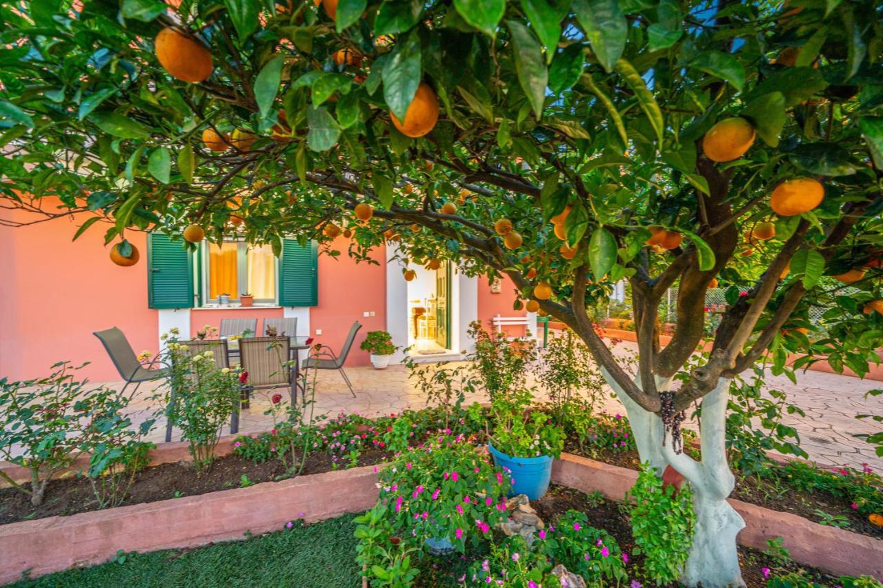 Artemis Superb 2 Bedroom Apartment 700 M Away From The Beach Minia Exteriér fotografie