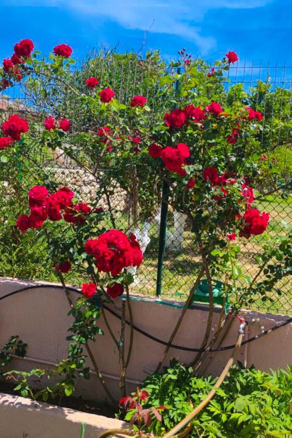 Artemis Superb 2 Bedroom Apartment 700 M Away From The Beach Minia Exteriér fotografie