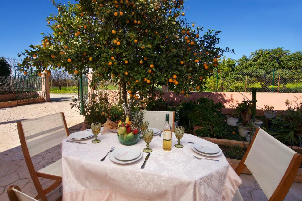 Artemis Superb 2 Bedroom Apartment 700 M Away From The Beach Minia Exteriér fotografie