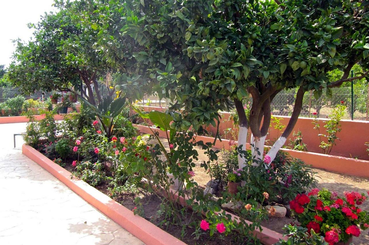 Artemis Superb 2 Bedroom Apartment 700 M Away From The Beach Minia Exteriér fotografie